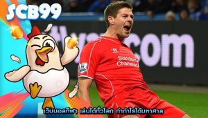 เว็บบอลกีฬา เล่นได้ทั่วโลก ทำกำไรได้มหาศาล
